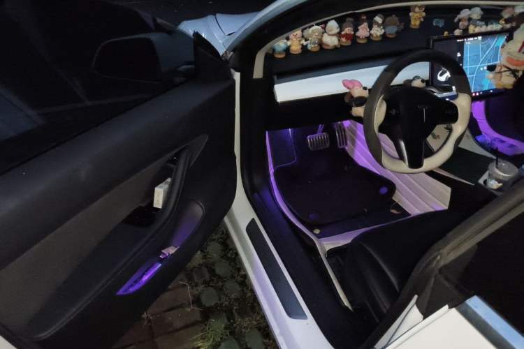 Used Tesla Model 3 2020 Standard Range Rear-Wheel Drive Upgraded Version Driver Seat