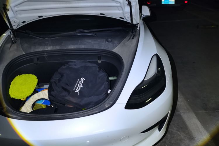 Used Tesla Model 3 2020 Revised Version Standard Range Rear-Wheel Drive – Upgraded Edition Engine Bay Left