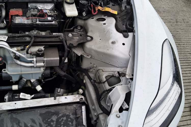 Used Tesla Model 3 2020 Standard Range Rear-Wheel Drive Upgraded Version Engine Bay Left