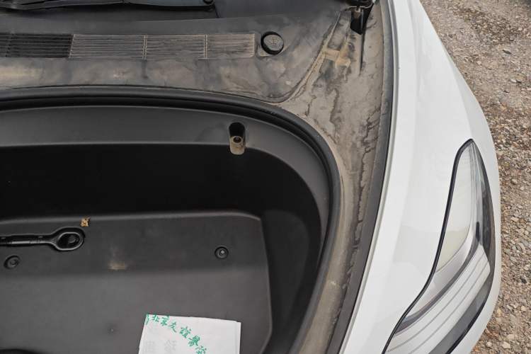 Used Tesla Model 3 2020 Revised Version Standard Range Rear-Wheel Drive – Upgraded Edition Engine Bay Left