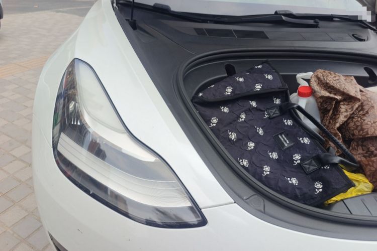 Used Tesla Model 3 2020 Revised Version Standard Range Rear-Wheel Drive – Upgraded Edition Engine Bay Right