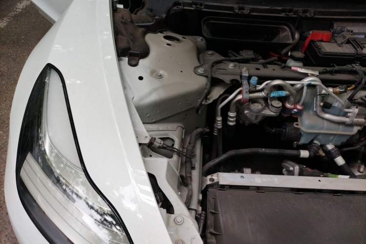 Used Tesla Model 3 2020 Standard Range Rear-Wheel Drive Upgraded Version Engine Bay Right