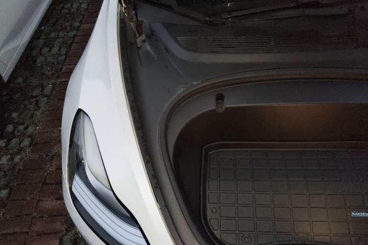 Used Tesla Model 3 2020 Standard Range Rear-Wheel Drive Upgraded Version Engine Bay Right
