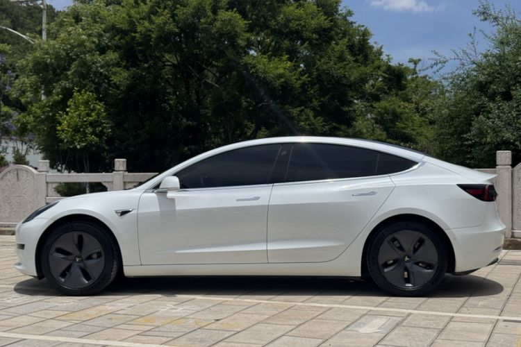 Used Tesla Model 3 2020 Standard Range Rear-Wheel Drive Upgraded Version Exterior 1