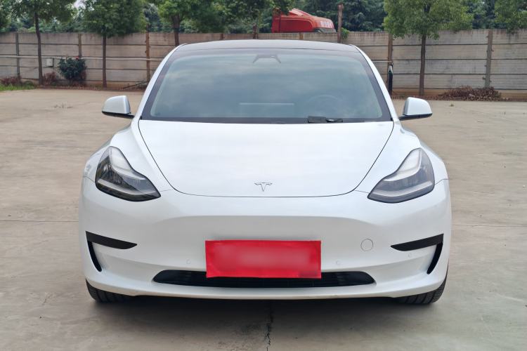 Used Tesla Model 3 2020 Standard Range Rear-Wheel Drive Upgraded Version Exterior 1