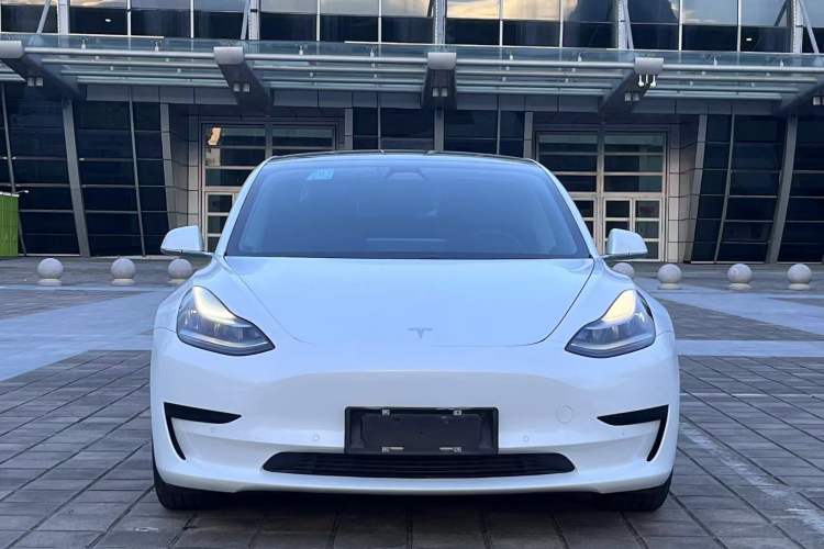 Used Tesla Model 3 2020 Revised Version Standard Range Rear-Wheel Drive – Upgraded Edition Exterior 1