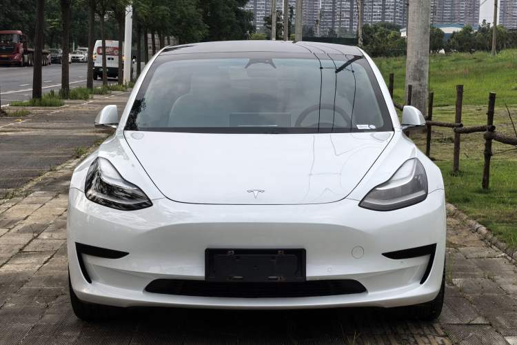 Used Tesla Model 3 2020 Standard Range Rear-Wheel Drive Upgraded Version Exterior 1