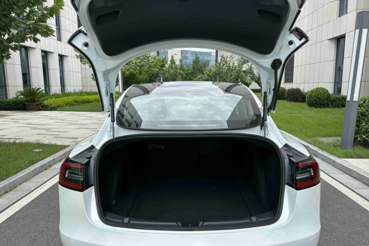 Used Tesla Model 3 2020 Standard Range Rear-Wheel Drive Upgraded Version Exterior 1