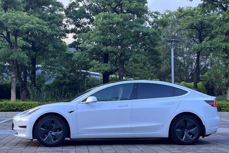 Used Tesla Model 3 2020 Revised Version Standard Range Rear-Wheel Drive – Upgraded Edition Exterior 2