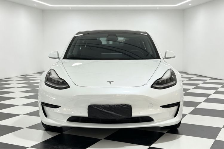 Used Tesla Model 3 2020 Standard Range Rear-Wheel Drive Upgraded Version Exterior 2