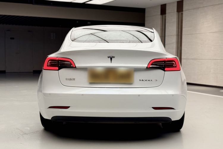 Used Tesla Model 3 2020 Revised Version Standard Range Rear-Wheel Drive – Upgraded Edition Exterior 2