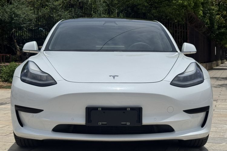 Used Tesla Model 3 2020 Standard Range Rear-Wheel Drive Upgraded Version Exterior 3