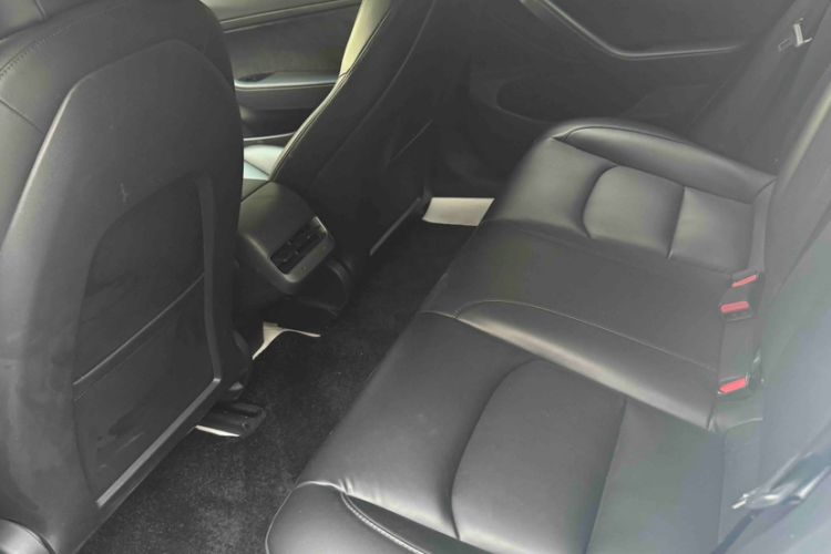 Used Tesla Model 3 2020 Standard Range Rear-Wheel Drive Upgraded Version Exterior 3
