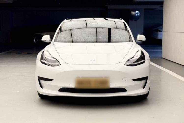 Used Tesla Model 3 2020 Revised Version Standard Range Rear-Wheel Drive – Upgraded Edition Exterior 3