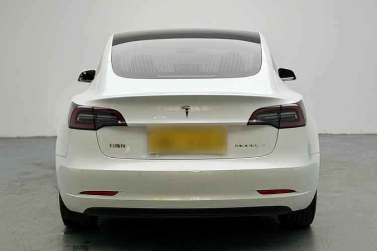 Used Tesla Model 3 2020 Standard Range Rear-Wheel Drive Upgraded Version Exterior 3