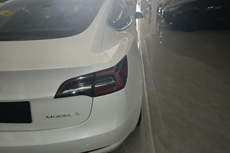 Used Tesla Model 3 2020 Standard Range Rear-Wheel Drive Upgraded Version Exterior 3