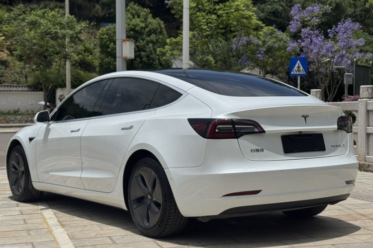 Used Tesla Model 3 2020 Standard Range Rear-Wheel Drive Upgraded Version Exterior 4