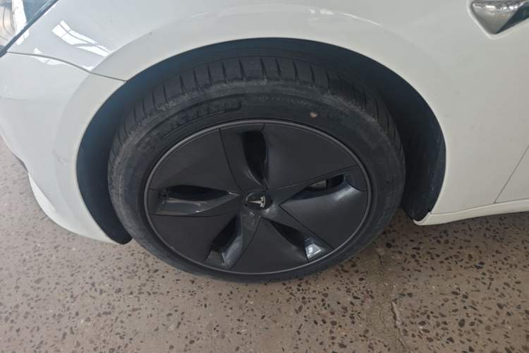 Used Tesla Model 3 2020 Standard Range Rear-Wheel Drive Upgraded Version Exterior 4