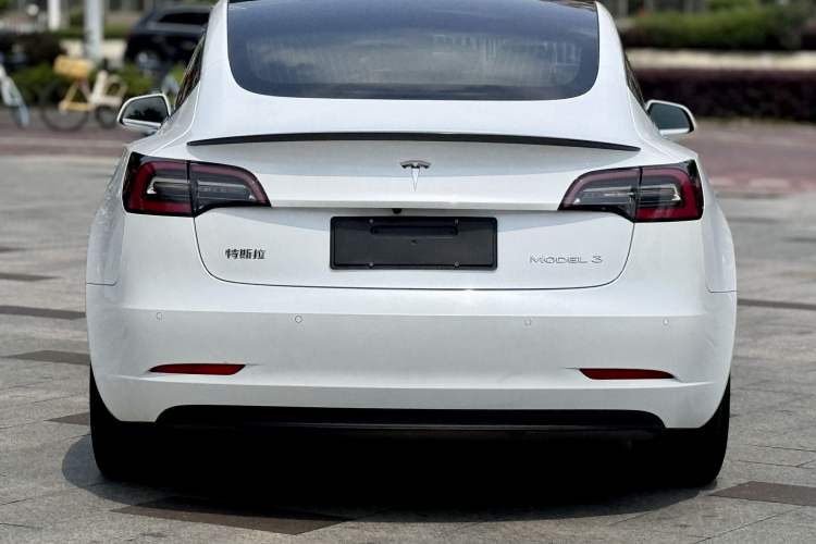 Used Tesla Model 3 2020 Revised Version Standard Range Rear-Wheel Drive – Upgraded Edition Exterior 4