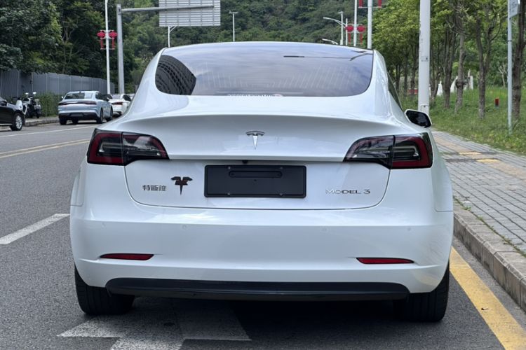 Used Tesla Model 3 2020 Revised Version Standard Range Rear-Wheel Drive – Upgraded Edition Exterior 4