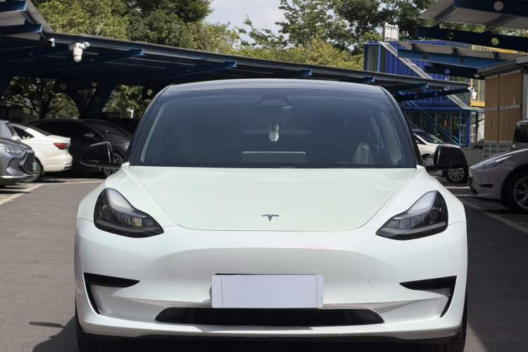 Used Tesla Model 3 2020 Standard Range Rear-Wheel Drive Upgraded Version Exterior 4