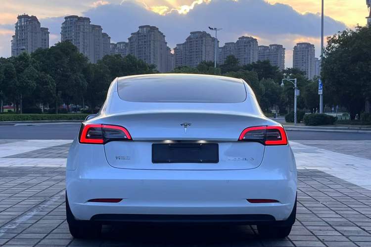 Used Tesla Model 3 2020 Revised Version Standard Range Rear-Wheel Drive – Upgraded Edition Exterior 4