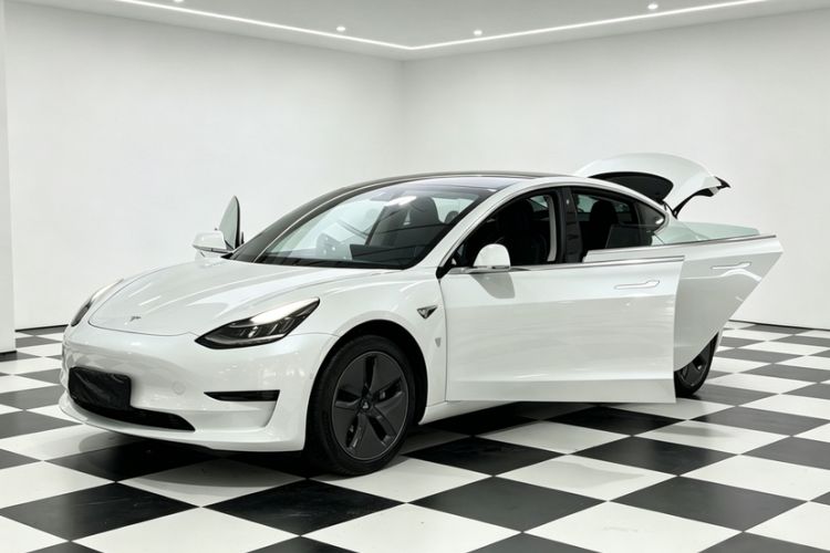 Used Tesla Model 3 2020 Standard Range Rear-Wheel Drive Upgraded Version Exterior 4