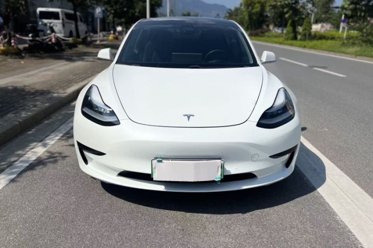 Used Tesla Model 3 2020 Standard Range Rear-Wheel Drive Upgraded Version Exterior 4