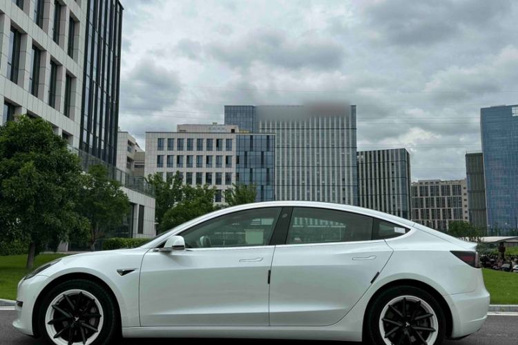 Used Tesla Model 3 2020 Standard Range Rear-Wheel Drive Upgraded Version Exterior 4