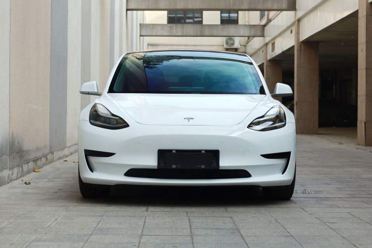 Used Tesla Model 3 2020 Revised Version Standard Range Rear-Wheel Drive – Upgraded Edition Exterior 5