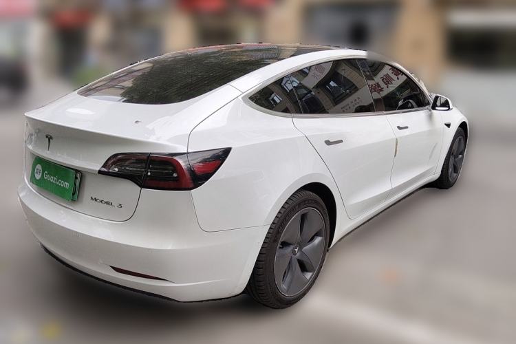 Used Tesla Model 3 2020 Standard Range Rear-Wheel Drive Upgraded Version Exterior 5