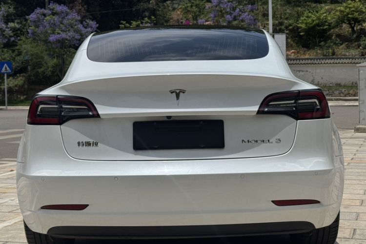 Used Tesla Model 3 2020 Standard Range Rear-Wheel Drive Upgraded Version Exterior 5