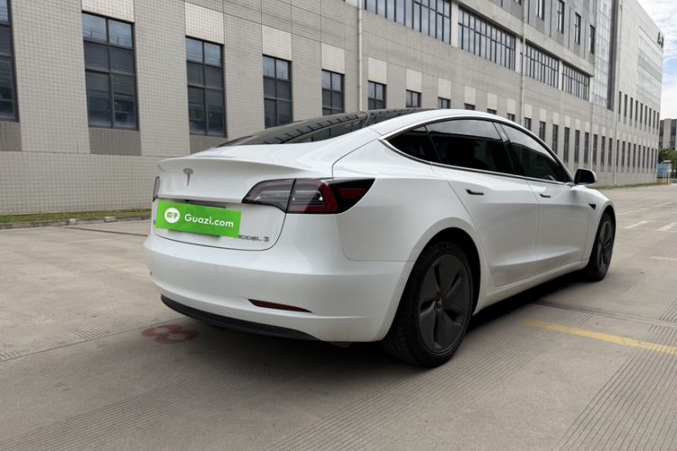 Used Tesla Model 3 2020 Revised Version Standard Range Rear-Wheel Drive – Upgraded Edition Exterior 5