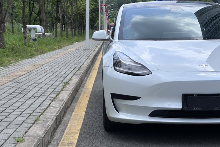 Used Tesla Model 3 2020 Revised Version Standard Range Rear-Wheel Drive – Upgraded Edition Exterior 5