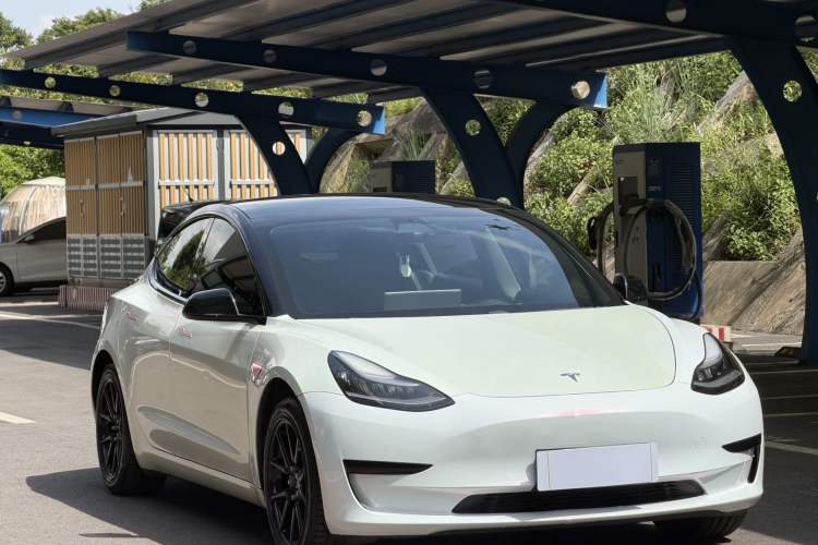 Used Tesla Model 3 2020 Standard Range Rear-Wheel Drive Upgraded Version Exterior 5
