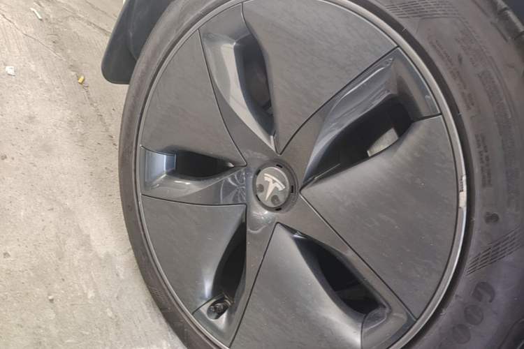 Used Tesla Model 3 2020 Revised Version Standard Range Rear-Wheel Drive – Upgraded Edition Exterior 5