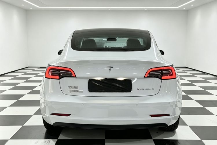 Used Tesla Model 3 2020 Standard Range Rear-Wheel Drive Upgraded Version Exterior 5