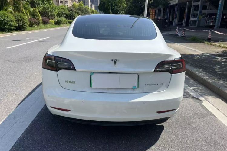 Used Tesla Model 3 2020 Standard Range Rear-Wheel Drive Upgraded Version Exterior 5