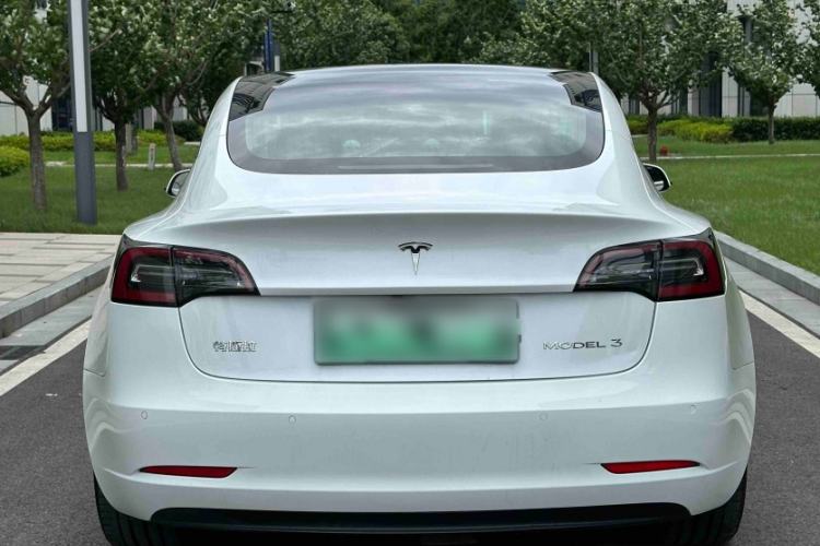 Used Tesla Model 3 2020 Standard Range Rear-Wheel Drive Upgraded Version Exterior 5