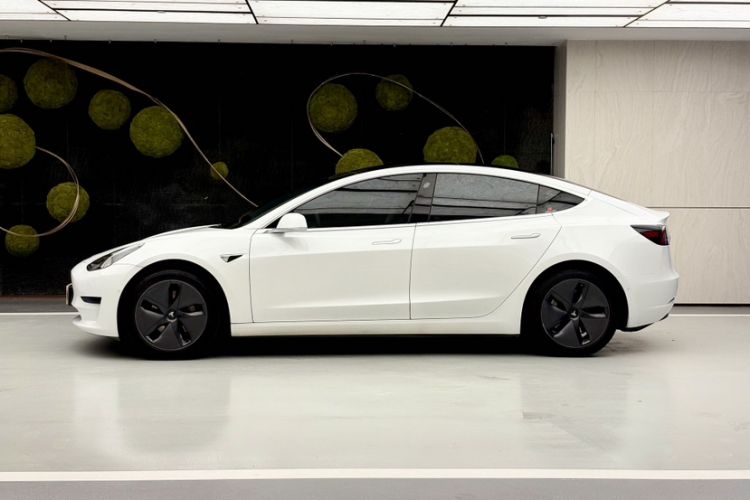Used Tesla Model 3 2020 Revised Version Standard Range Rear-Wheel Drive – Upgraded Edition Exterior 5