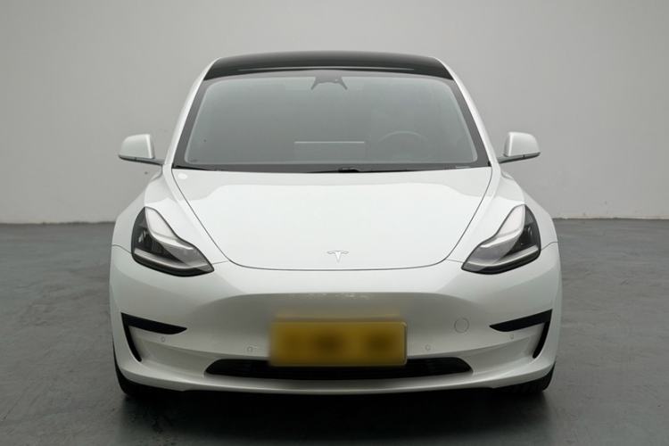 Used Tesla Model 3 2020 Standard Range Rear-Wheel Drive Upgraded Version Exterior 5
