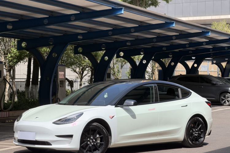 Used Tesla Model 3 2020 Standard Range Rear-Wheel Drive Upgraded Version Exterior 6