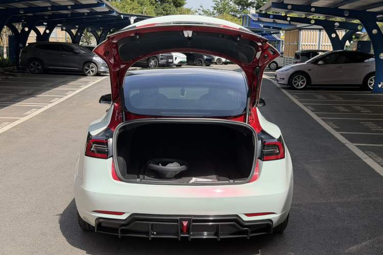Used Tesla Model 3 2020 Standard Range Rear-Wheel Drive Upgraded Version Exterior 7