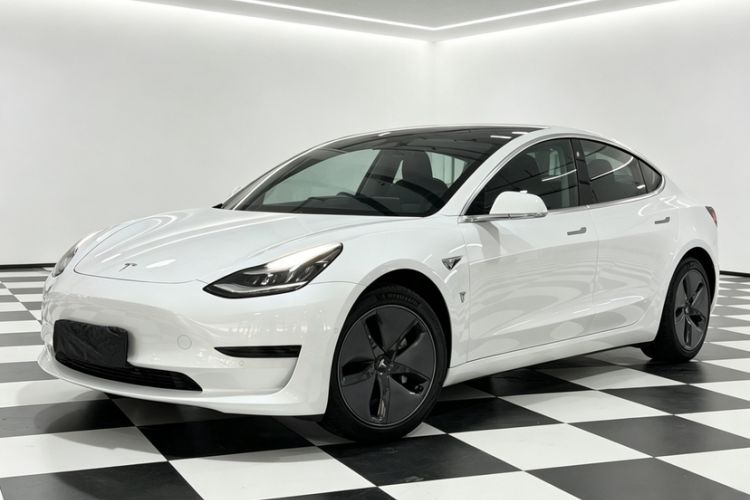 Used Tesla Model 3 2020 Standard Range Rear-Wheel Drive Upgraded Version Exterior 7