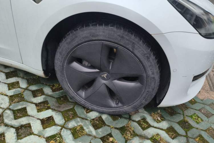 Used Tesla Model 3 2020 Revised Version Standard Range Rear-Wheel Drive – Upgraded Edition Exterior 7