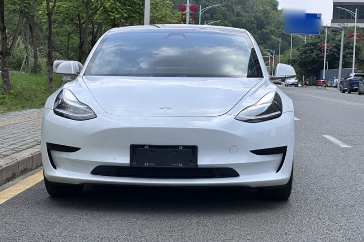Used Tesla Model 3 2020 Revised Version Standard Range Rear-Wheel Drive – Upgraded Edition Exterior 8