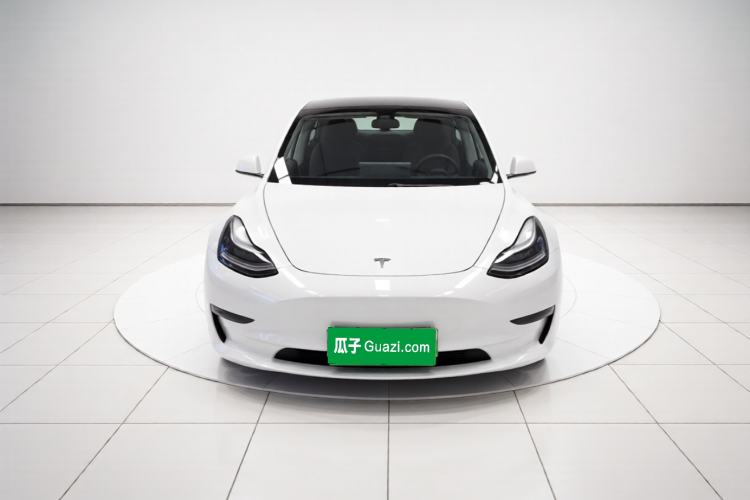 Used Tesla Model 3 2020 Standard Range Rear-Wheel Drive Upgraded Version Front