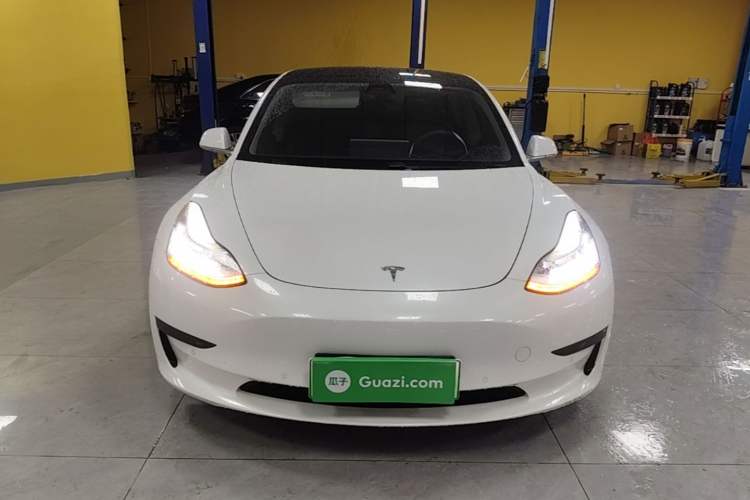 Used Tesla Model 3 2020 Standard Range Rear-Wheel Drive Upgraded Version Front