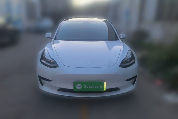 Used Tesla Model 3 2020 Standard Range Rear-Wheel Drive Upgraded Version Front