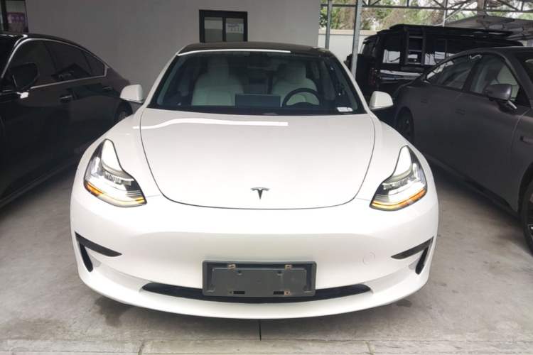 Used Tesla Model 3 2020 Standard Range Rear-Wheel Drive Upgraded Version Front